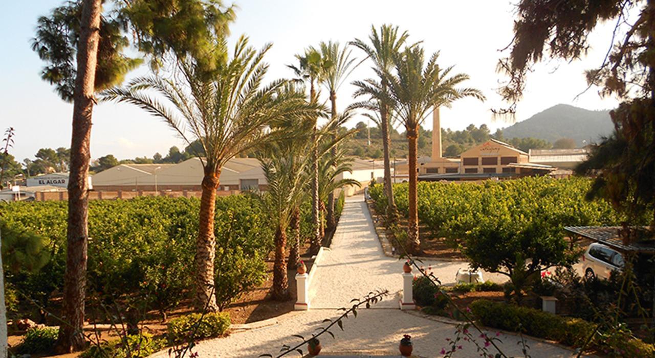 אוליבה El Sequer Casa Rural מראה חיצוני תמונה