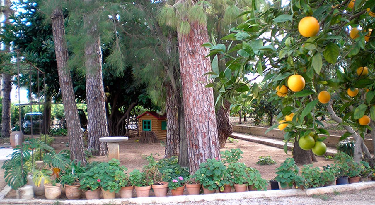 אוליבה El Sequer Casa Rural מראה חיצוני תמונה